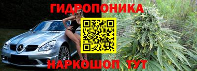 apvp Гай