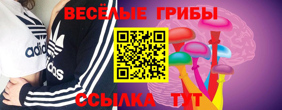 Псилоцибиновые грибы Psilocybe  Вход с VPN  Москва 